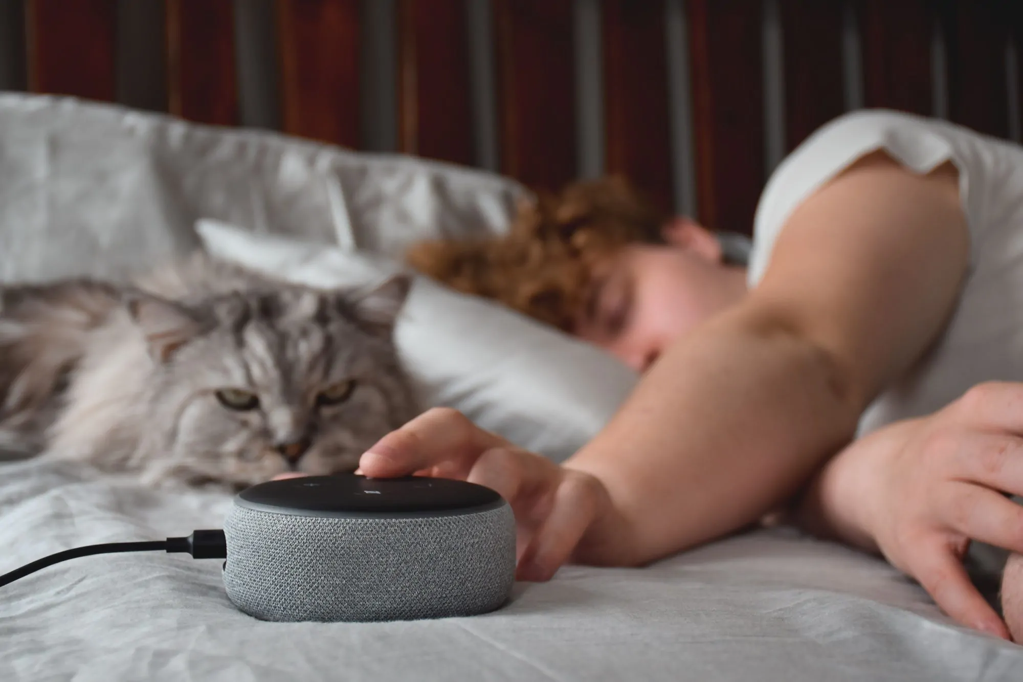 voice_control_kooihaus.com