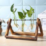 Urban Oasis Wood and Glass Tabletop Vase