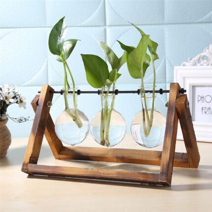 Urban Oasis Wood and Glass Tabletop Vase