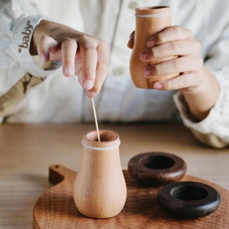 ForestCraft Wood Mushroom Toothpick Dispenser Kooihaus.com