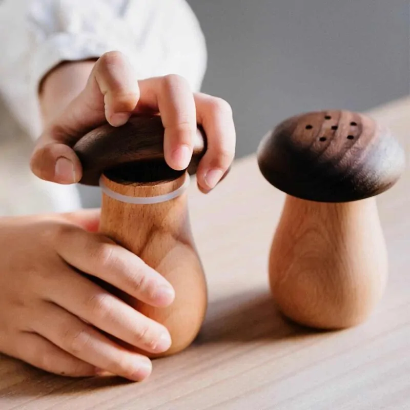 ForestCraft Wood Mushroom Toothpick Dispenser Kooihaus.com