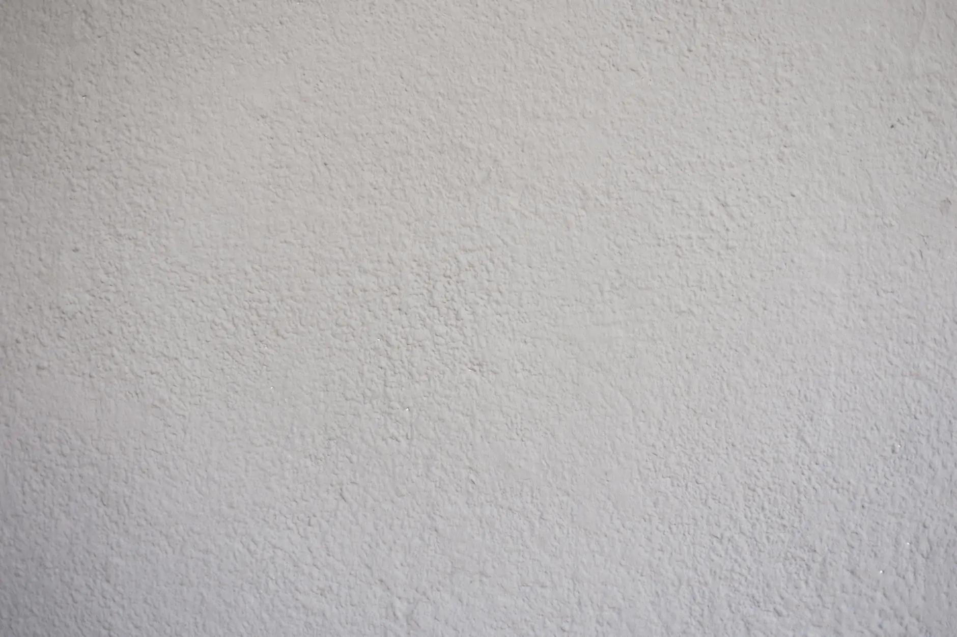 Limewash plaster wall in soft cream with warm light