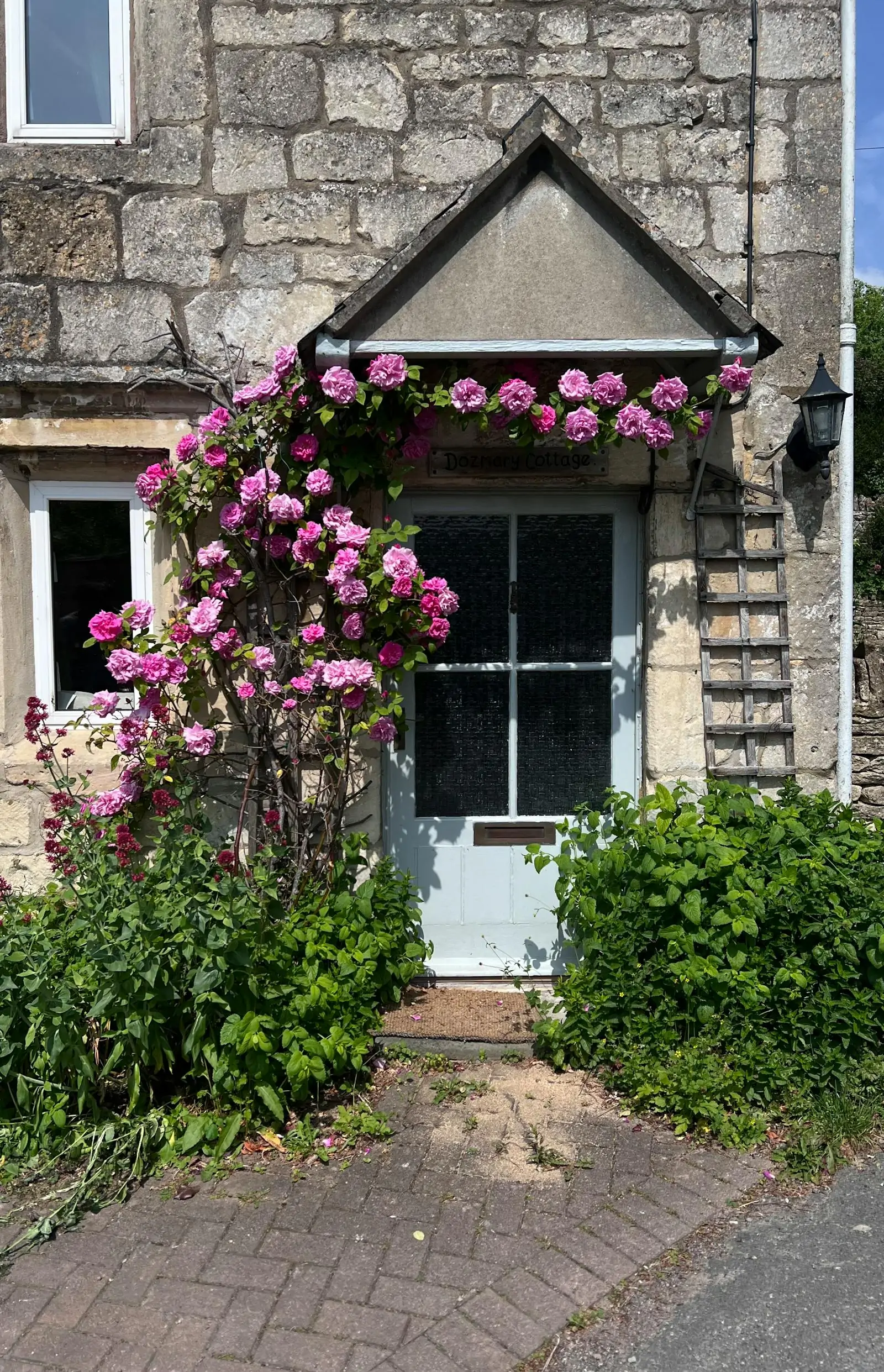 Flowering plants around a welcoming front door