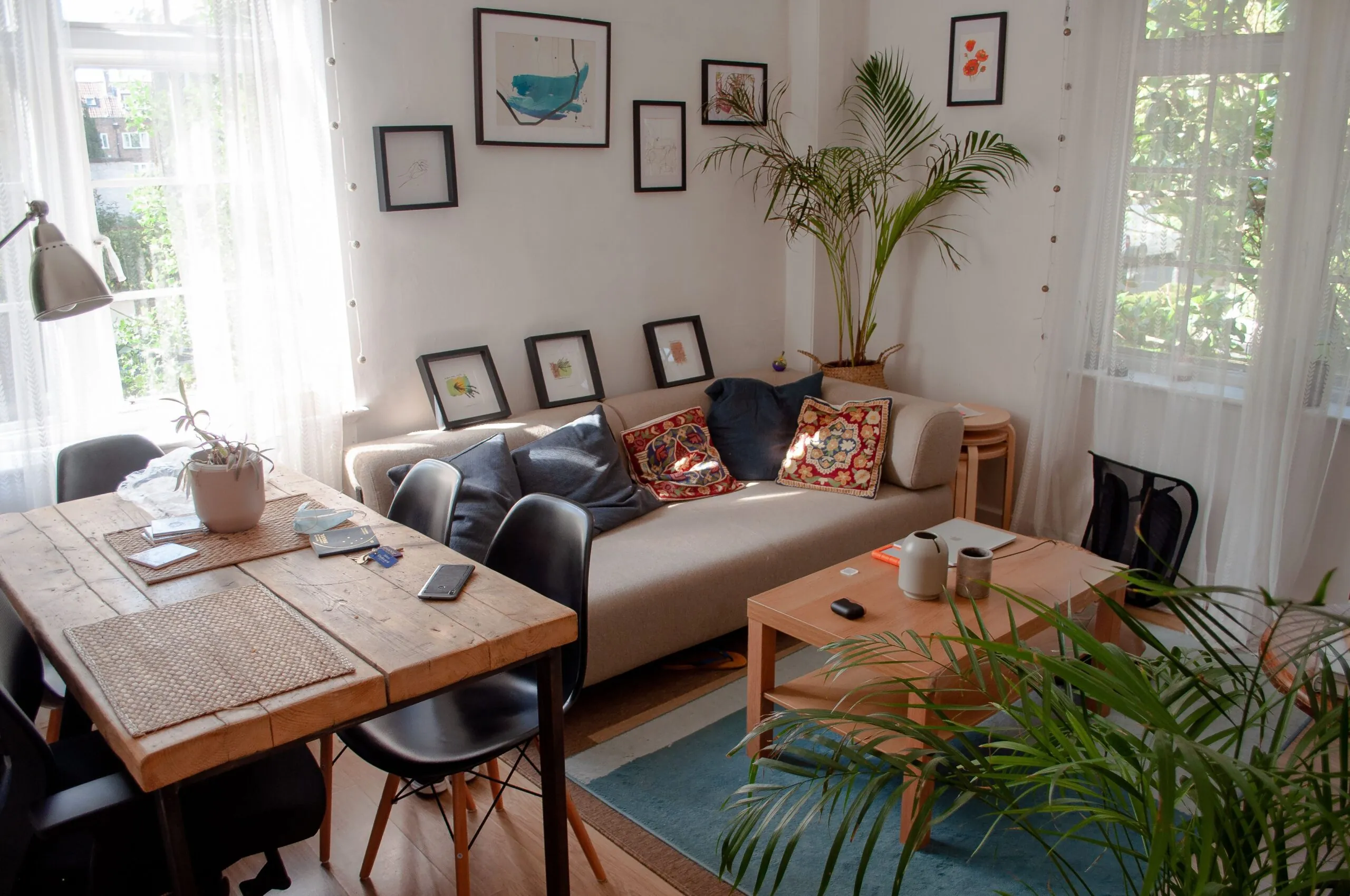 Bright lived-in living room with a sofa, dining table and tall plants