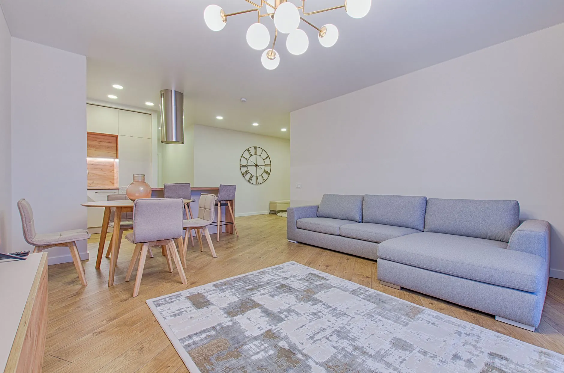 Contemporary living room with a large area rug