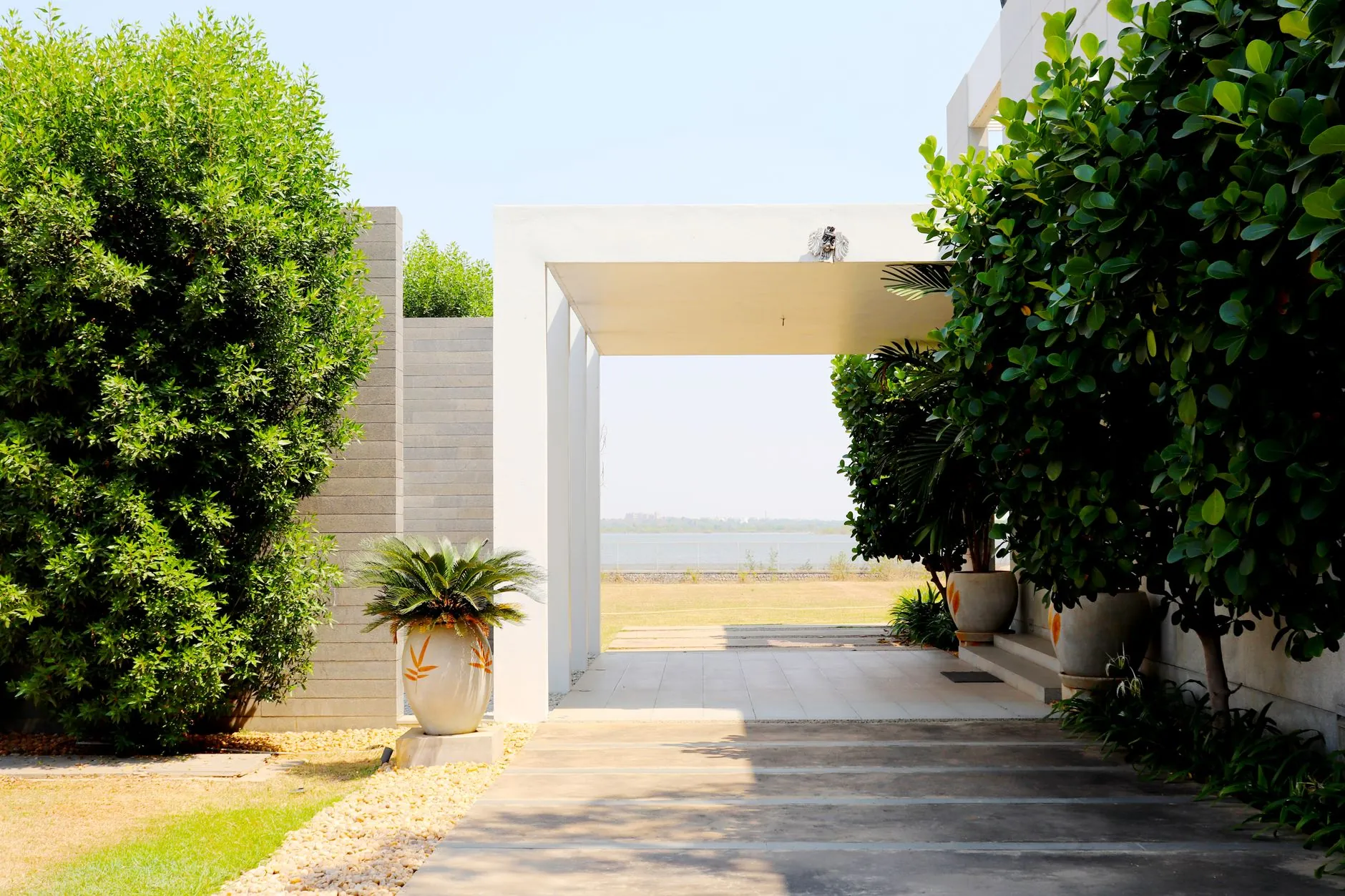 A modern garden entrance framed by clipped greenery and pale paving